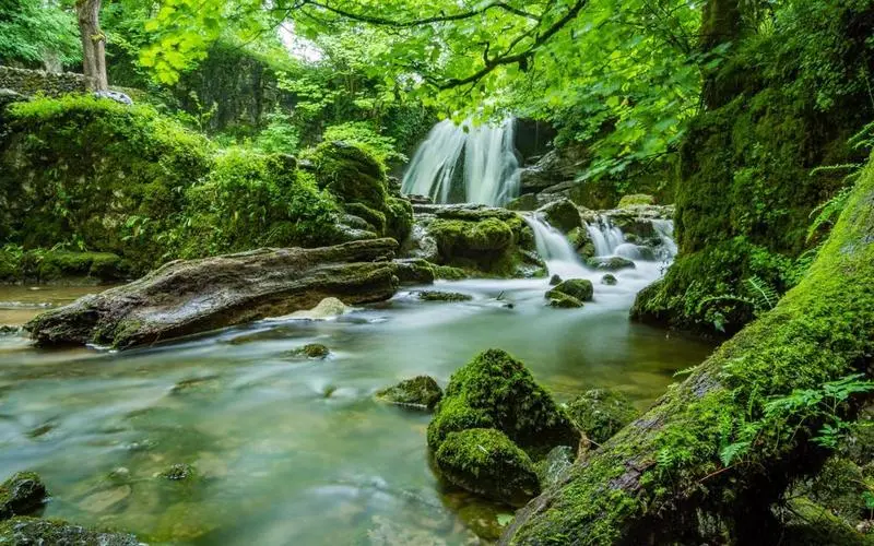 高质量科技高质量